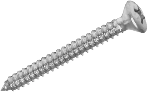 Pf. Auto-Ros. Cab. Lent. DIN 7983 INOX4,8x16 mm 8und S