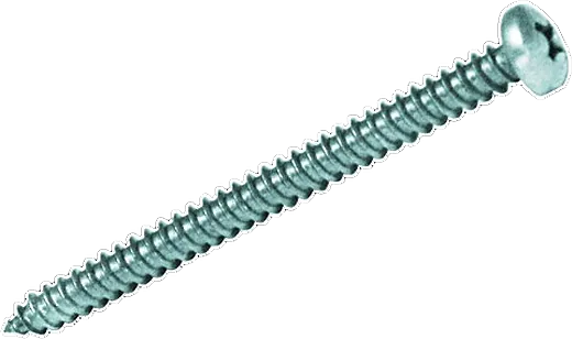 PF R/CHAPA C/QUEIJO PH ZINC DIN 7981 4.8x25